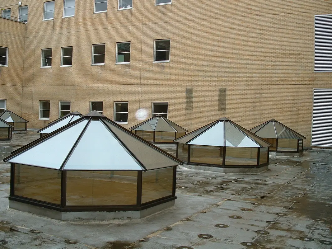 Flat Roof Skylights Abbey Wood
